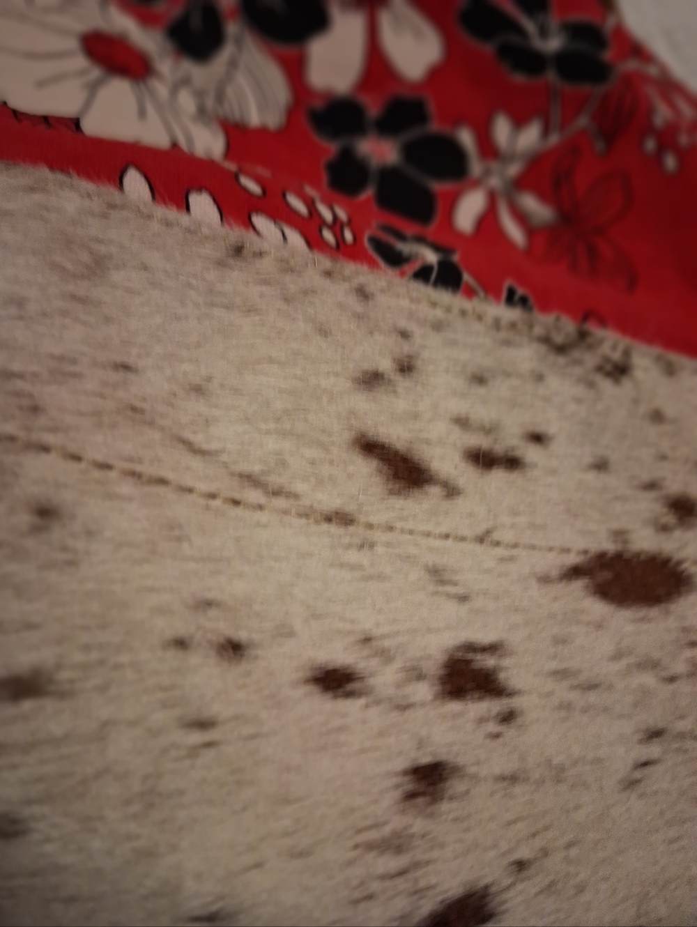 Myra Bag Red Floral Canvas Tote with Cowhide Trim - Picture 6 of 6